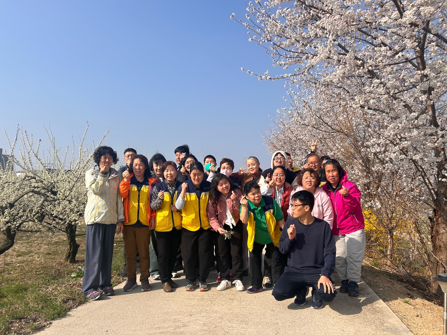 [25.04.08] 벚꽃길 산책 및 환경정화 활동